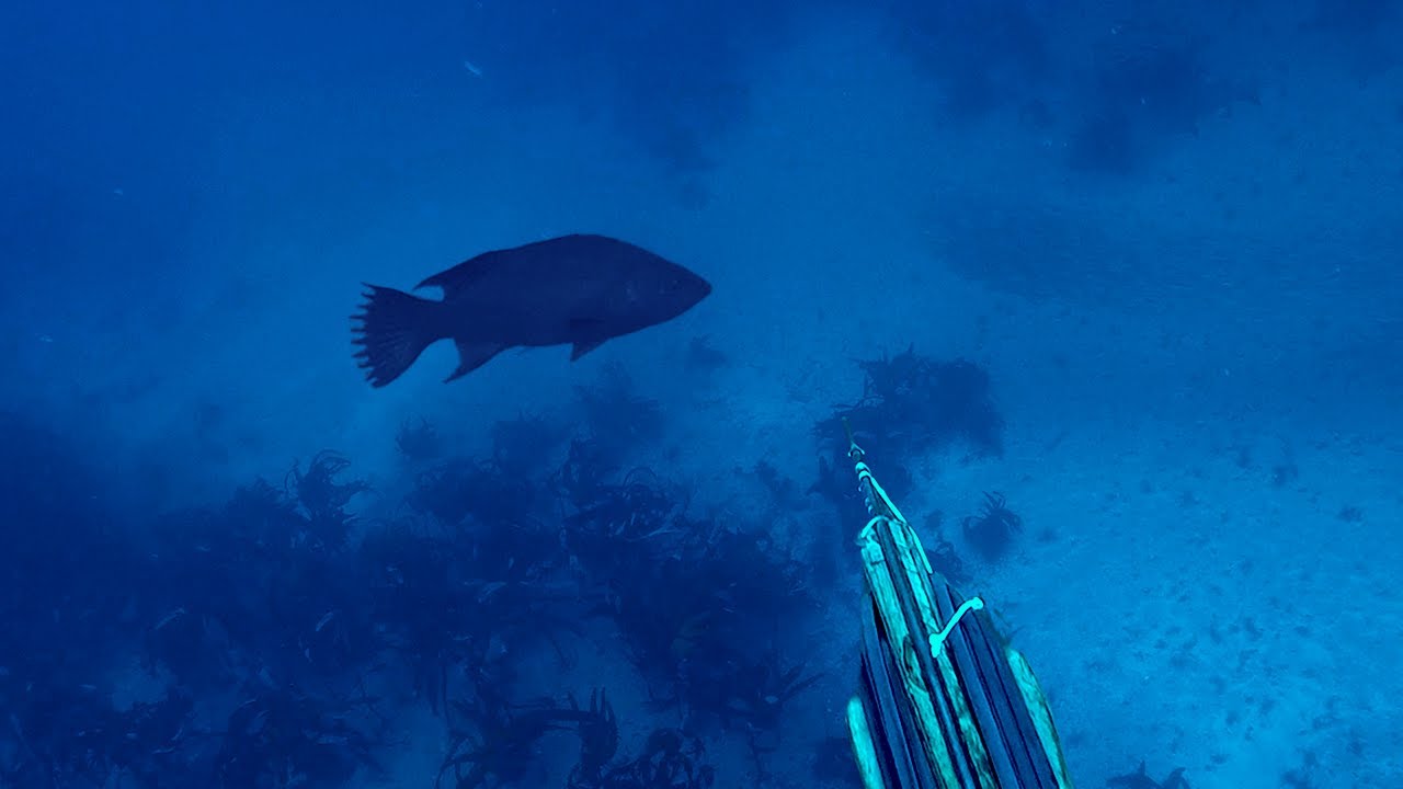 Así Pescamos GIGANTES (Pesca y Cocina) en BAJA CALIFORNIA SUR