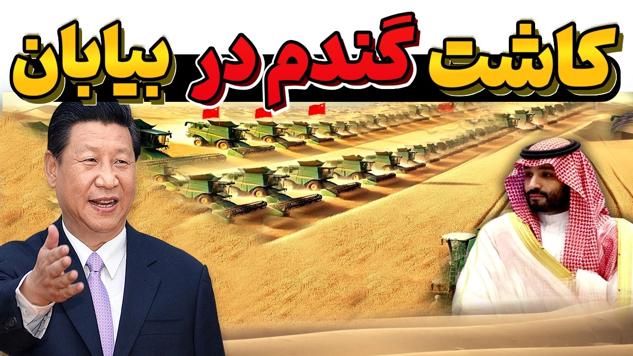 کاشت گندم در بیابان توسط چین - با وجود زمین حاصلخیر چرا و چطور در بیابان گندم کاشت ؟