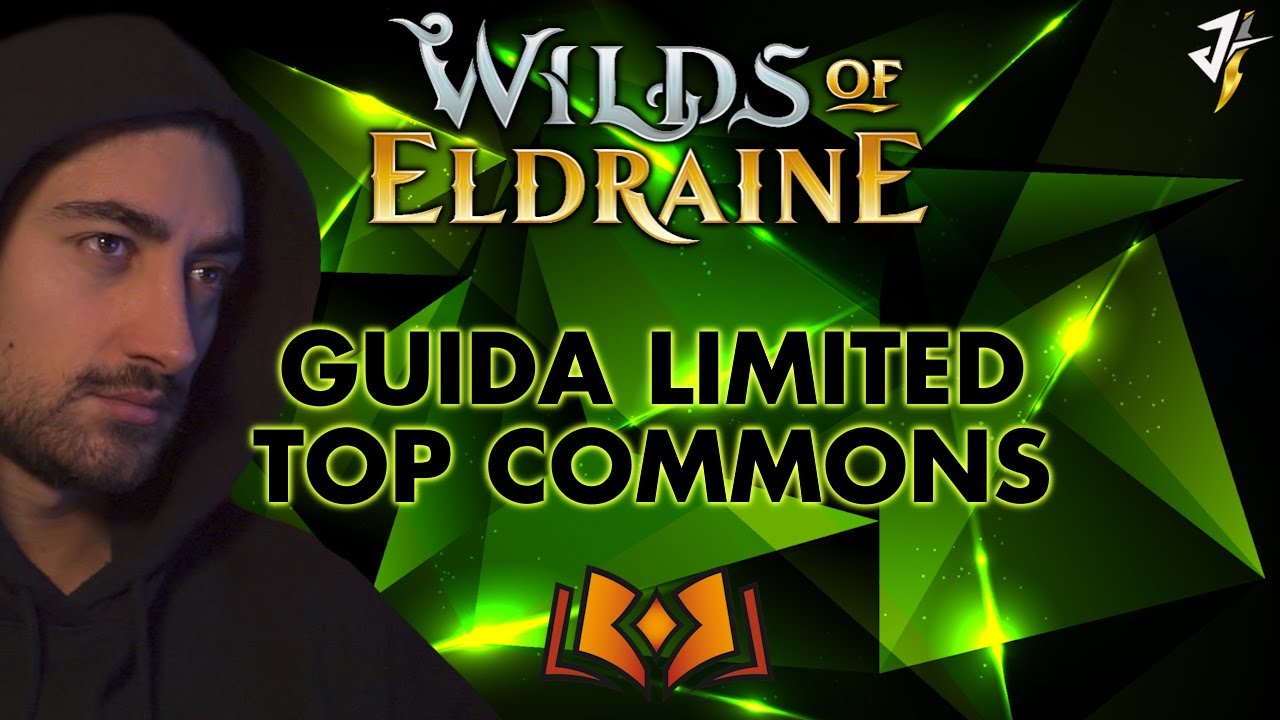 GUIDA al LIMITED di 