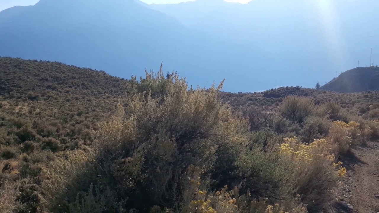 Sage Brush panorama