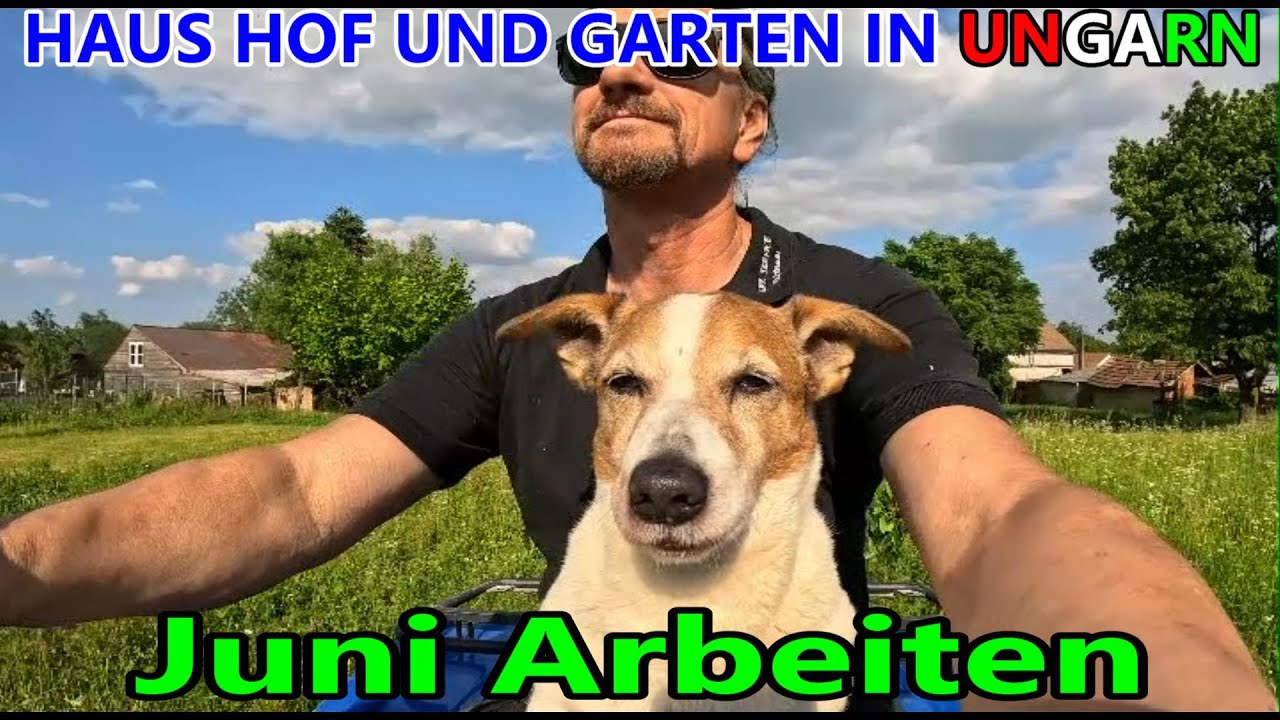 Juni Arbeit