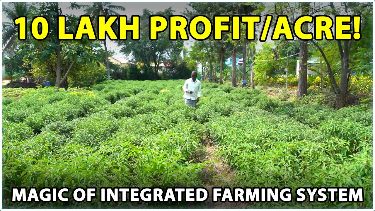 How This Farmer Earns 10 Lakh Per Acre! The Magic of Integrated Farming
