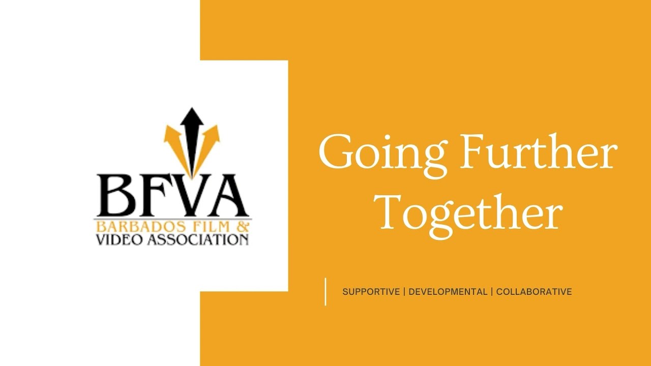 Overview of the BFVA Mission