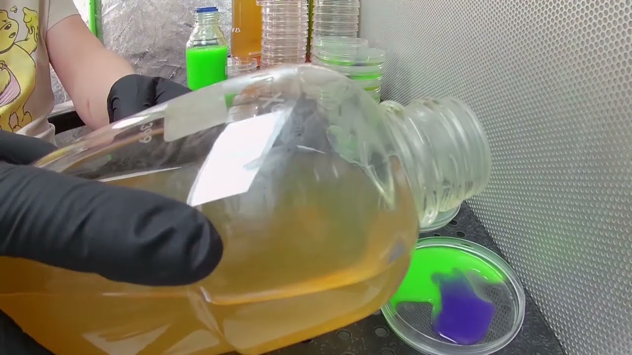 School of Rock'n Agar - Radioactive pouring 101, pouring multi colored Agar with mica, tie dye color