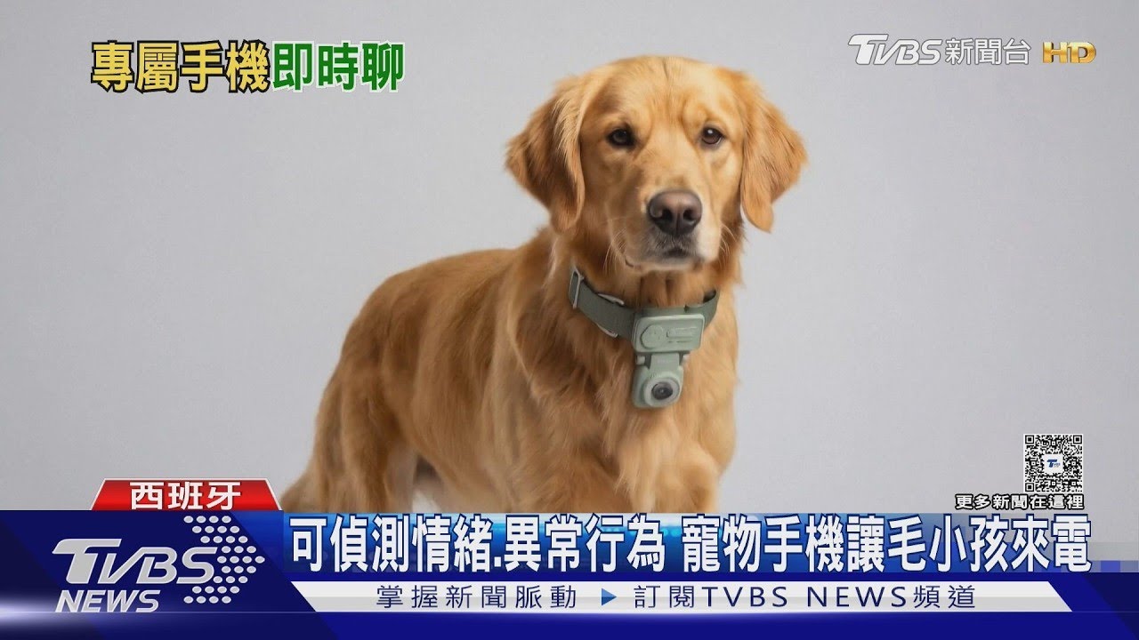 寵物專屬智慧手機! 偵測情緒 毛小孩能「打電話回家」｜TVBS新聞