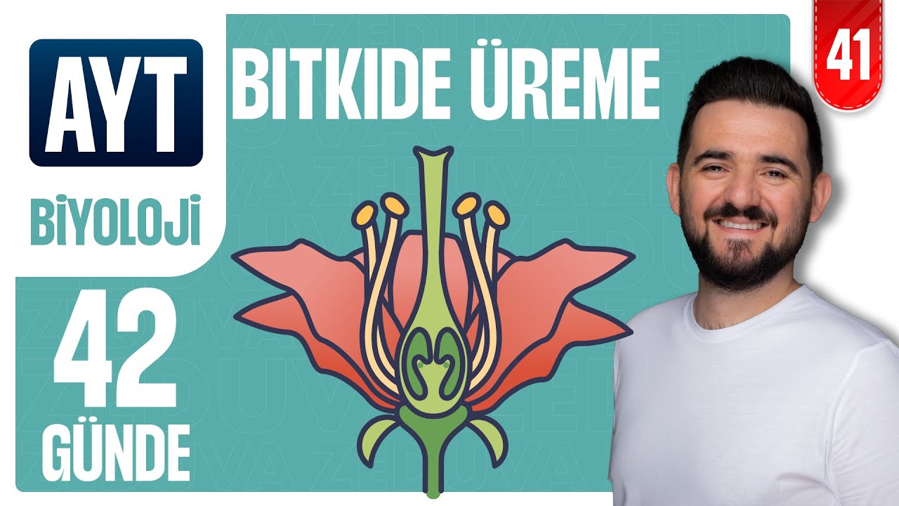 Bitkide Üreme ve Gelişme | 42 GÜNDE AYRINTILI AYT BİYOLOJİ KAMPI 2026-2027 | 41.GÜN