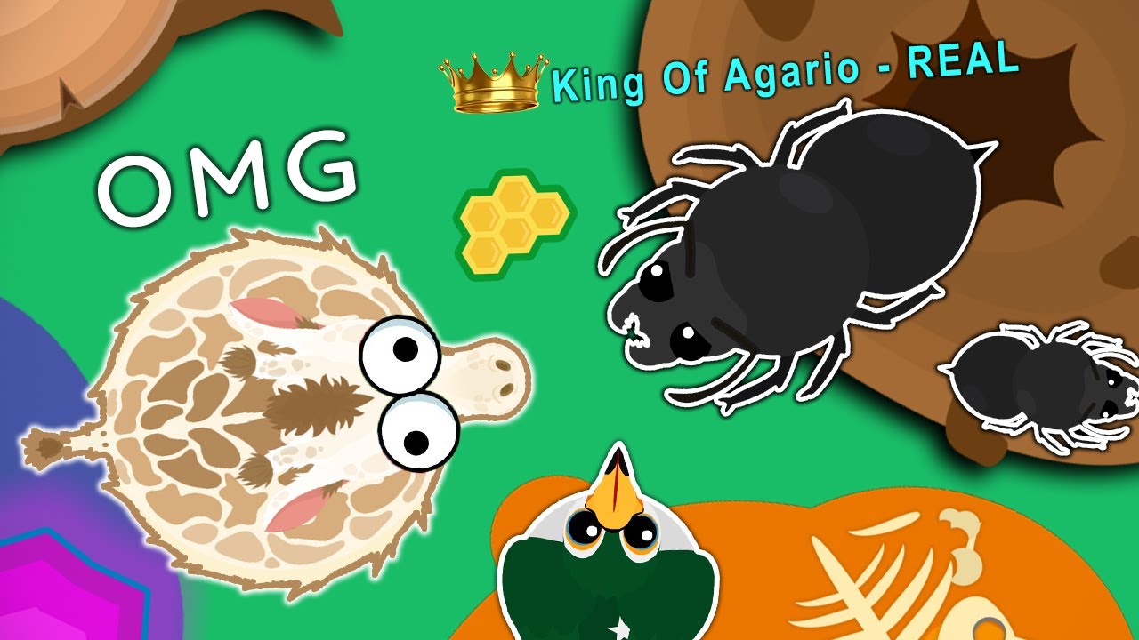 WHEN YOU TEST MOPE.IO WITH DEVS // FUNNY MOMENTS