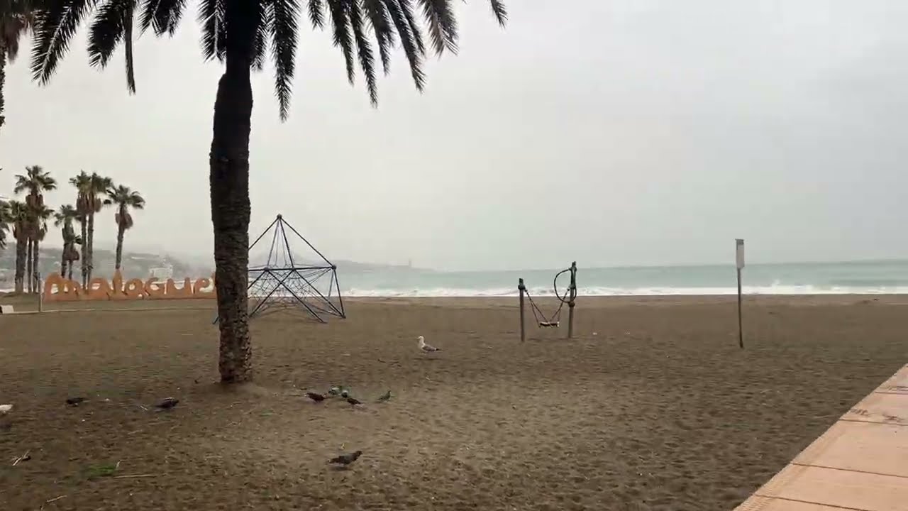MALAGA LIVE (March 4, 2026)