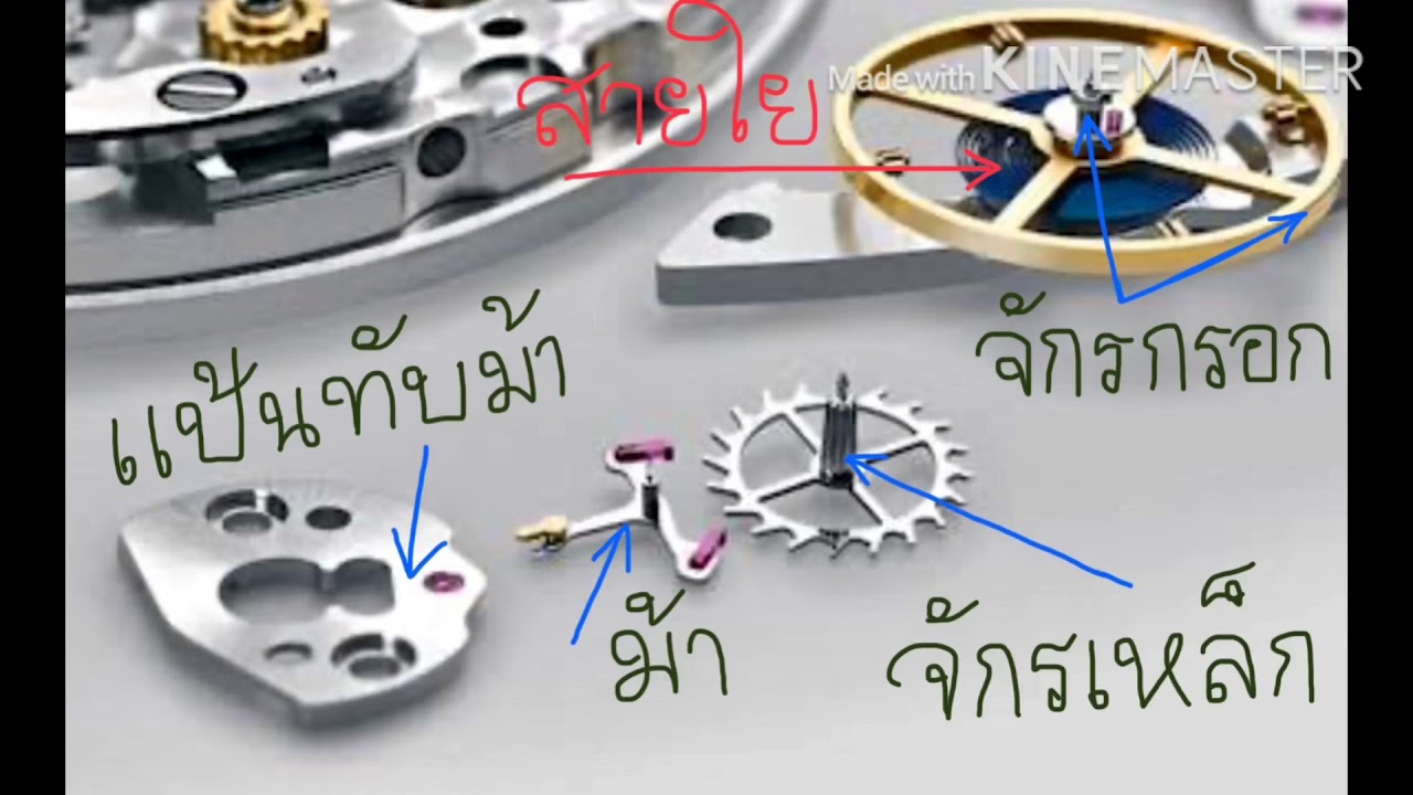 ทฤษฎีการซ่อมนาฬิกา Automatic เบื้องต้น