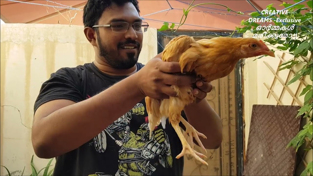 ഓർമ്മകൾമരിക്കുമോ..എപ്പിസോഡ് -1 (ദോഹയിലെ ജീവിതം)-2019