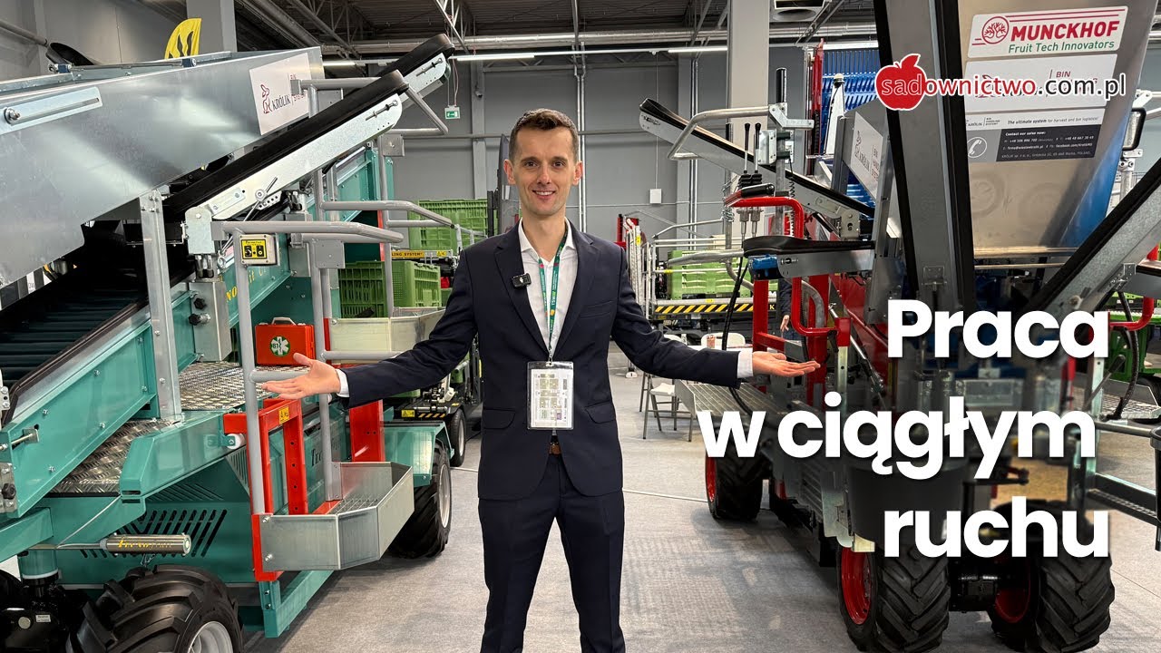 Zbiory jabłek bez przerwy - Królik bin handling system