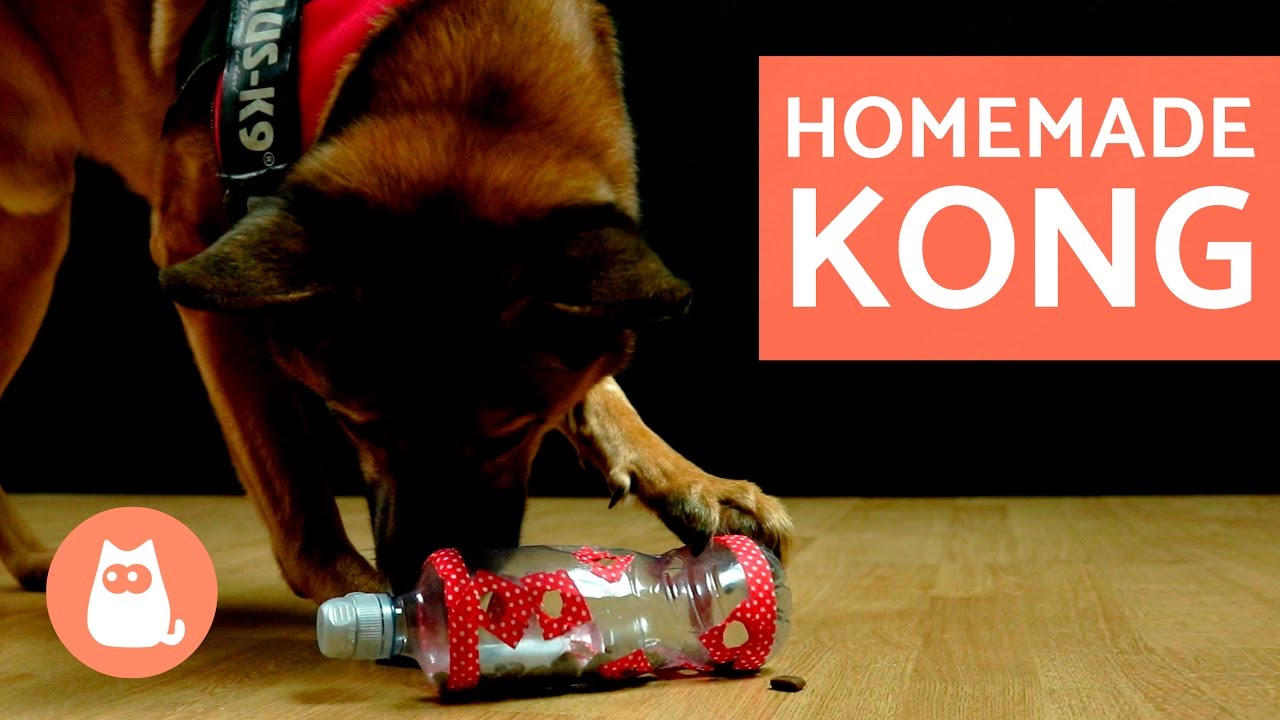 DIY Dog Toys - Kong Toy for Dogs
