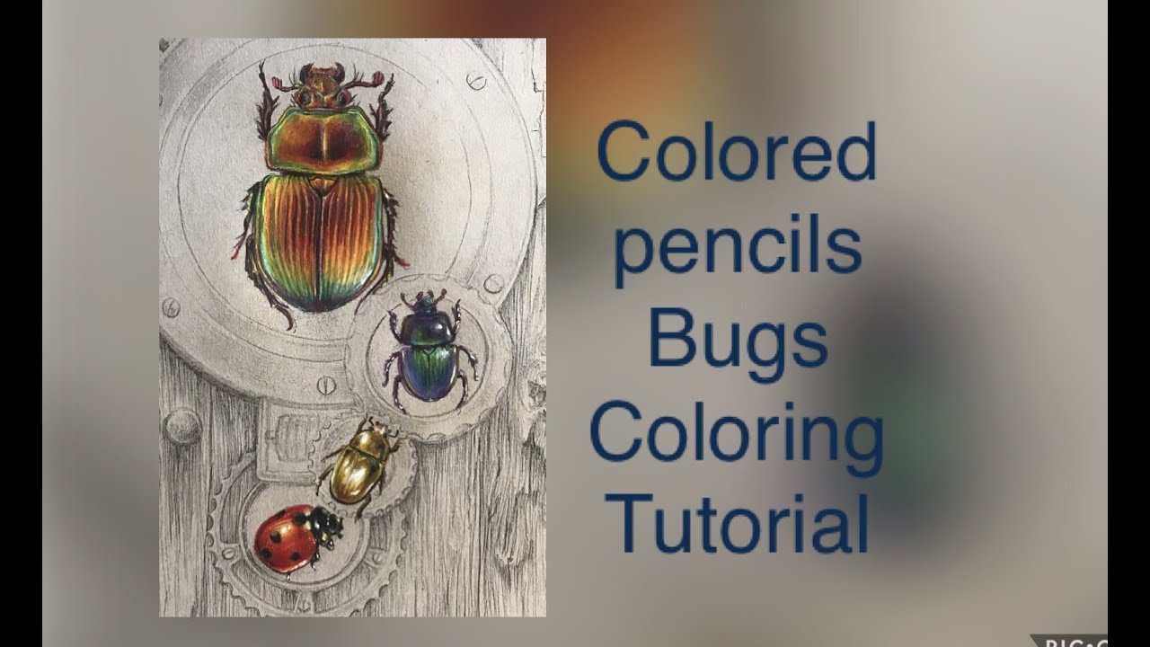 Colored pencils coloring Bugs