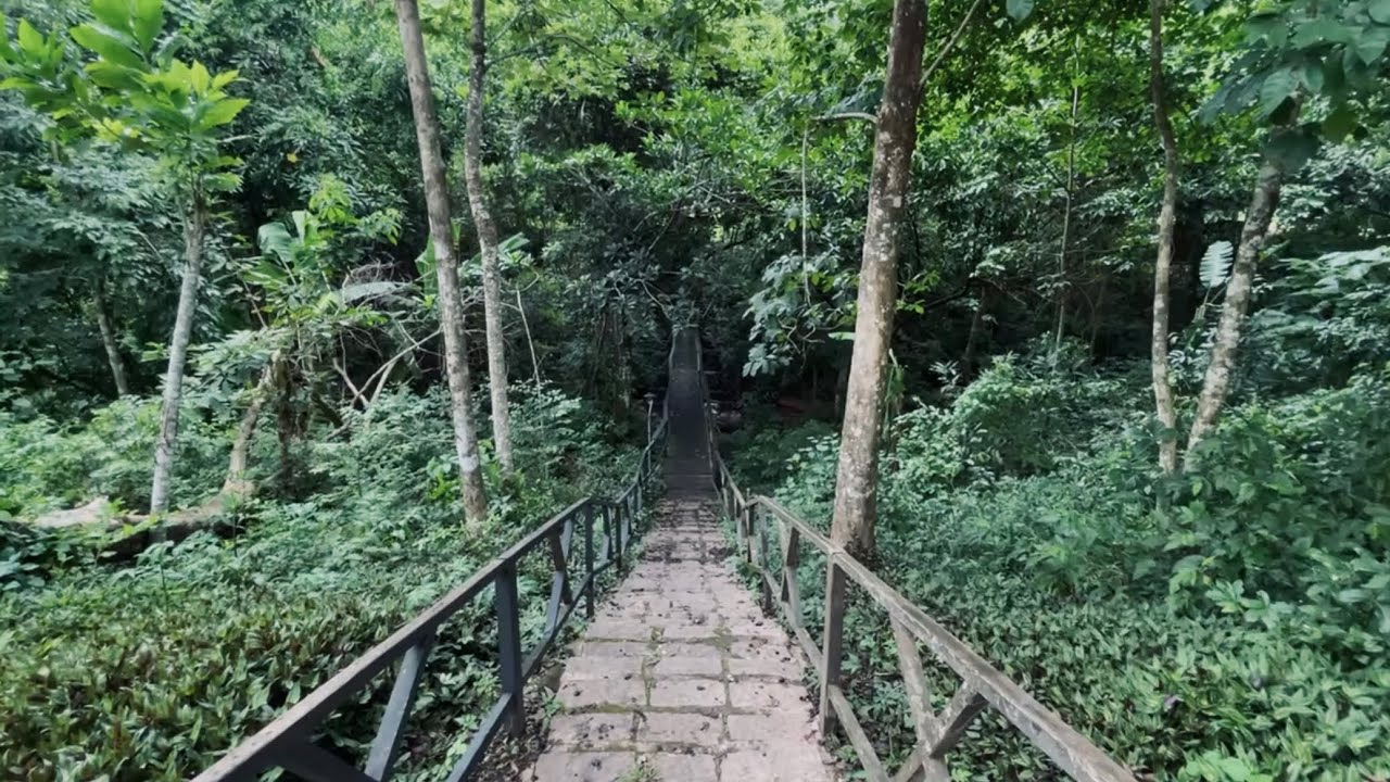 foi meu aniversário… e teve muita natureza