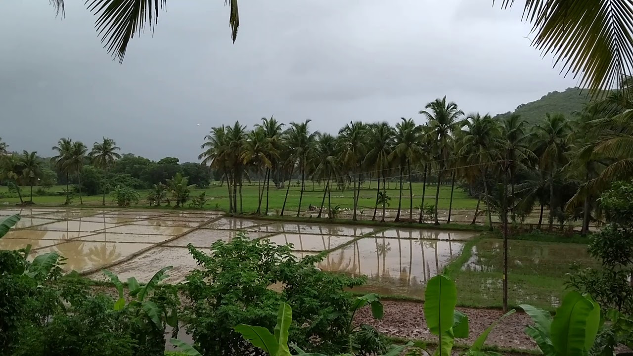 Goa , perfect village field view , Eco  tourism