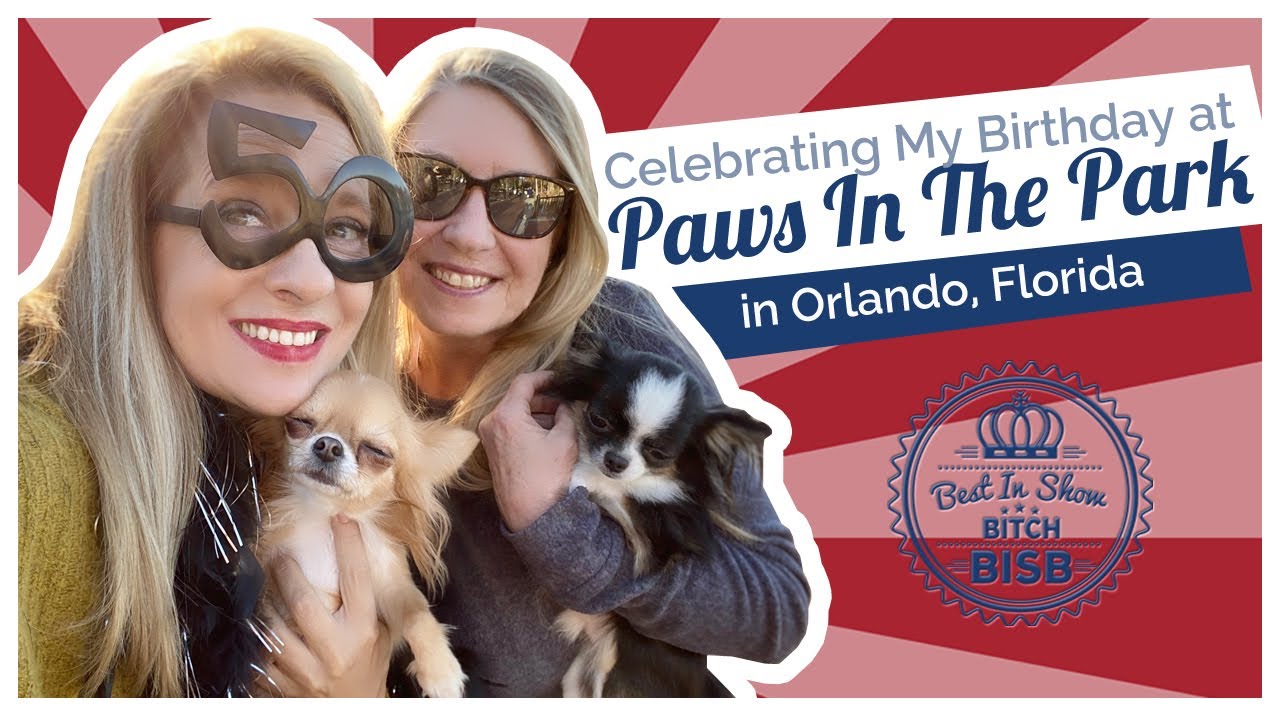 Day In The Life: Celebrating My Birthday at Paws in the Park Orlando VLOG