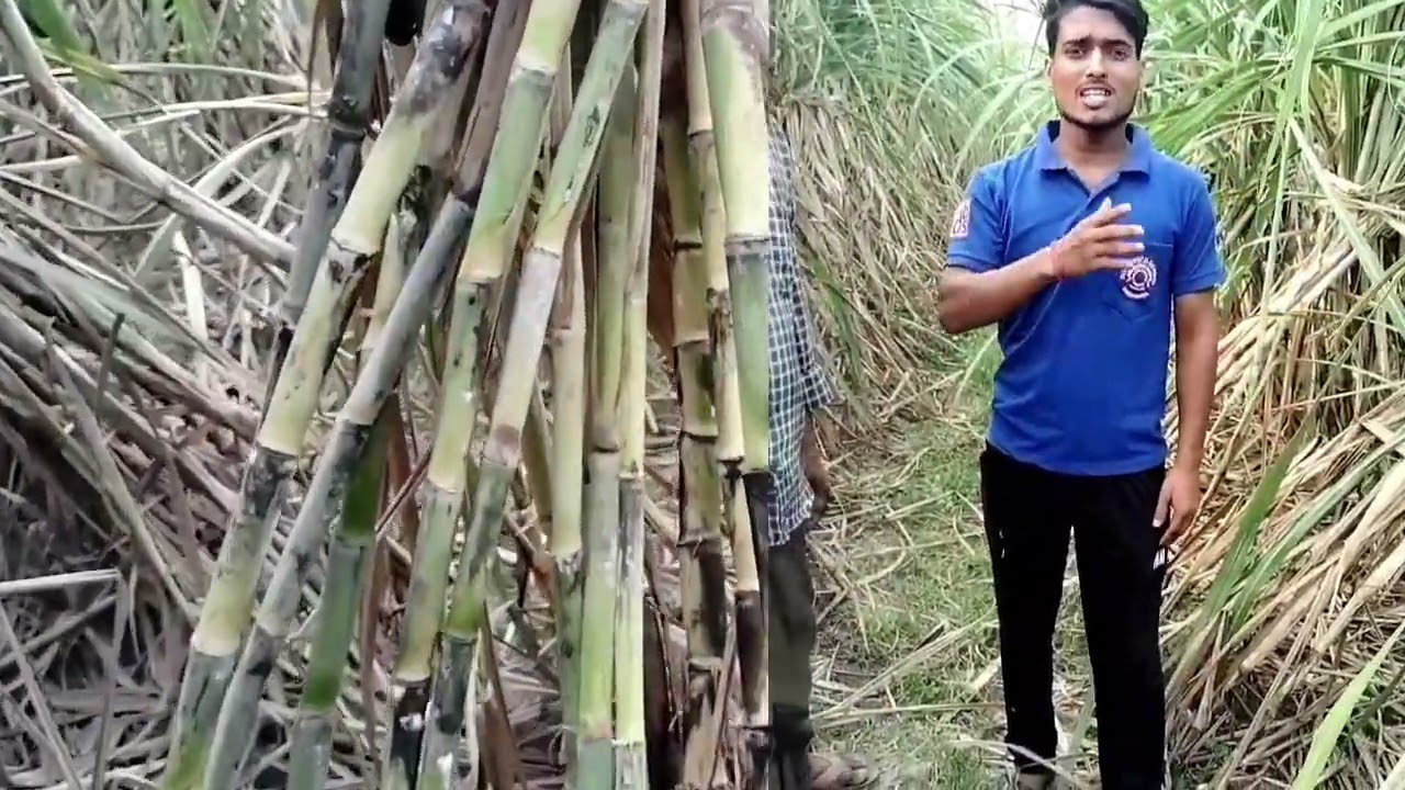 सफलता की कहानी किसान की जुबानी 