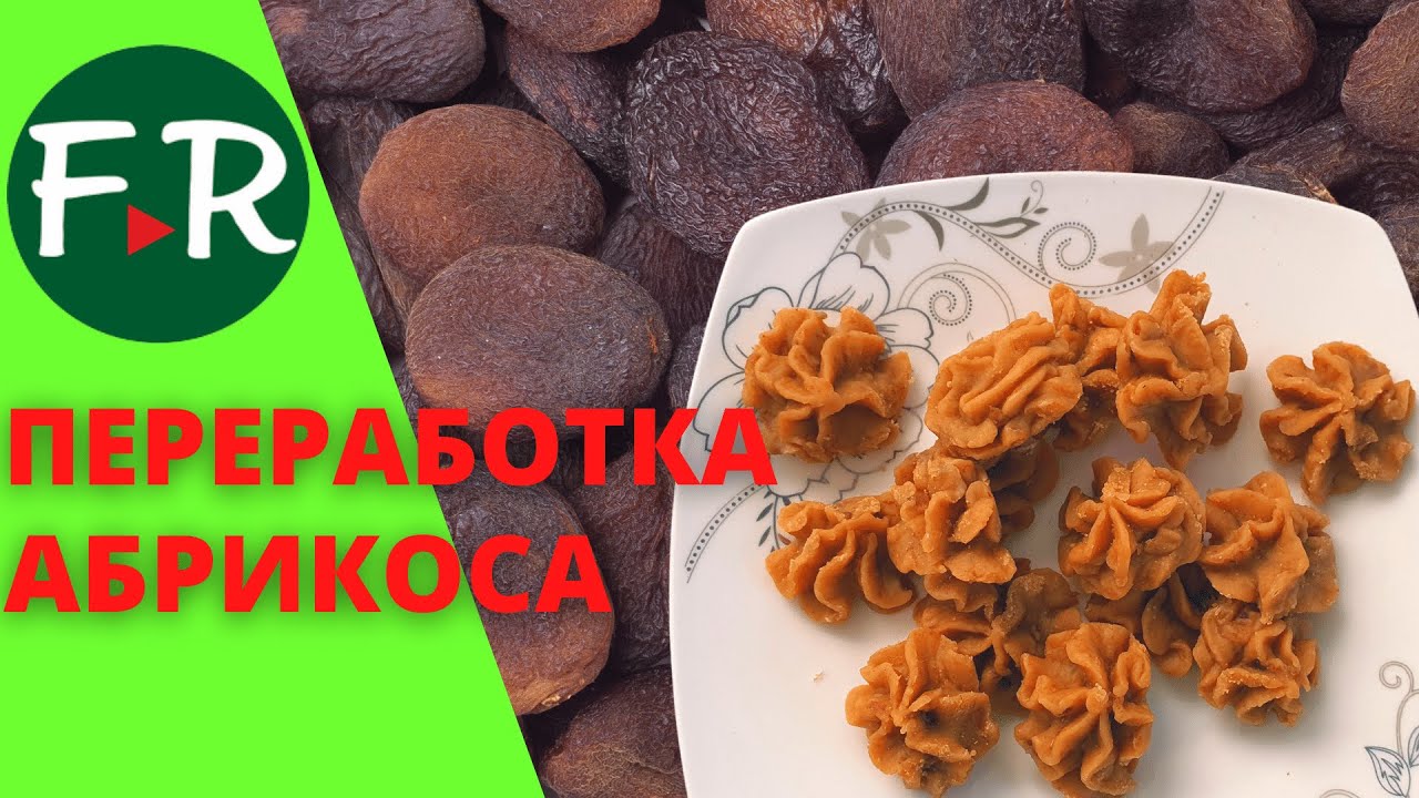 Баткенский абрикос. Оборудование для переработки абрикоса. СХ кооператив Алыш Дан