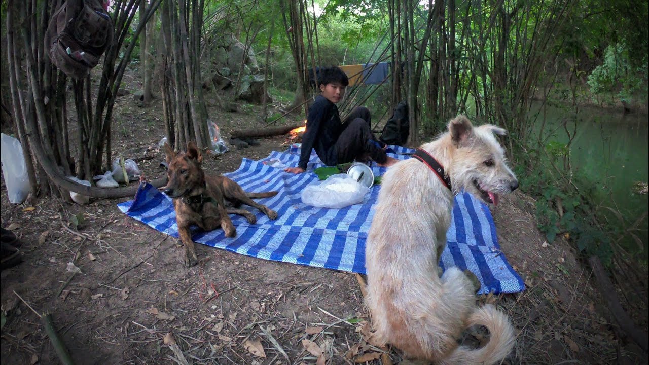 นอนป่า ริมแม่น้ำ 