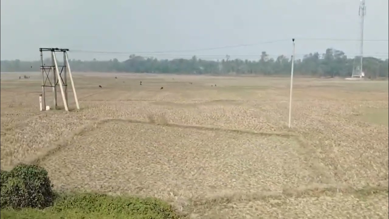 কোথাও আমার হারিয়ে যাওয়ার নেই মানা।। গ্রাম্য প্রকৃতি।।