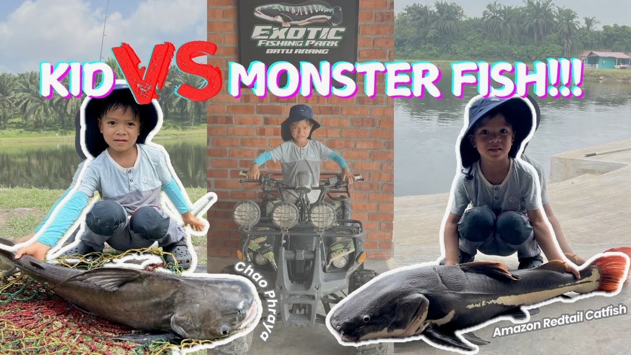 Kid VS Monster Fish - Batu Arang Exotic Fishing Park