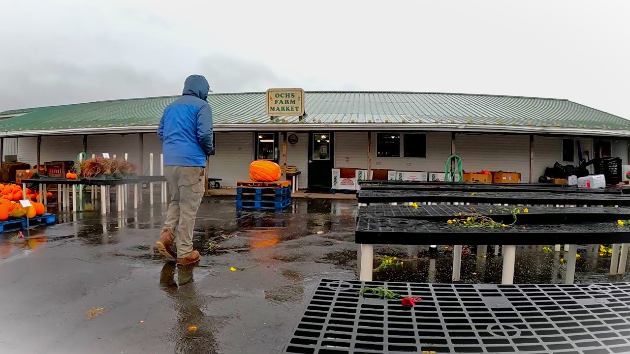 На ферму обрушился ужасный шторм