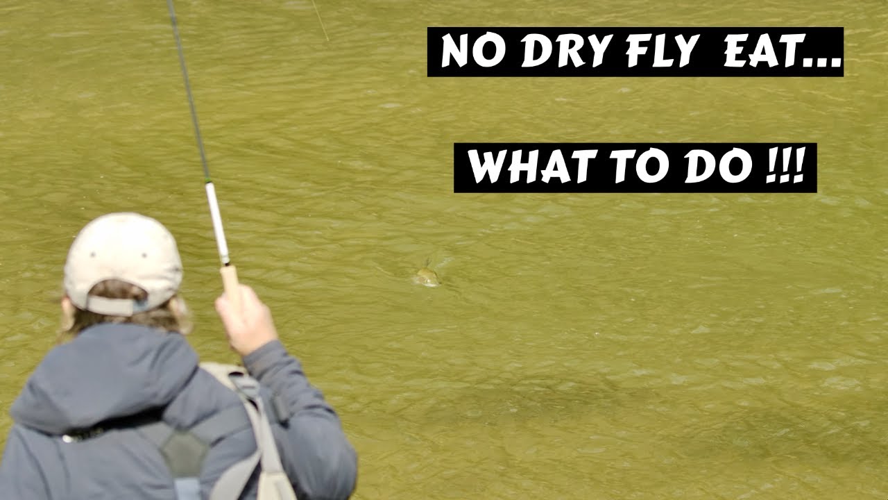 Trout Won't Eat Your Dry Fly | What To Do ???!!!
