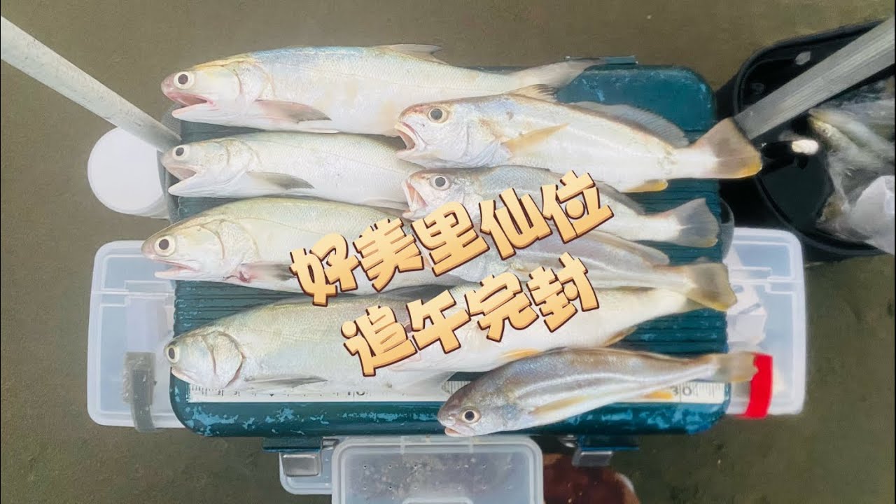 20231230年終最後一次夜釣…好美里仙位仍然很腥！追午行動完封….. #午仔魚 #沙梭 #帕頭仔 #紅花 #沙灘遠投