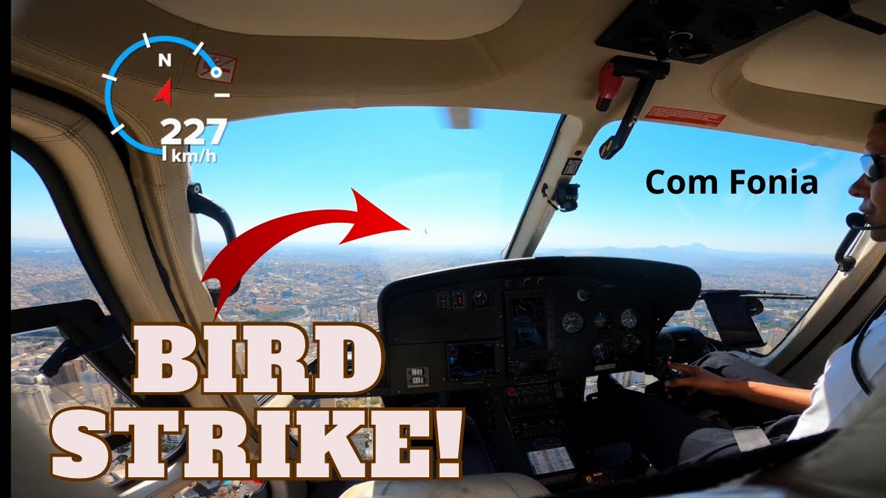 Bati numa Andorinha com o HELICÓPTERO VOANDO para o AEROPORTO de CONFINS (Com fonia) Bird Strike!