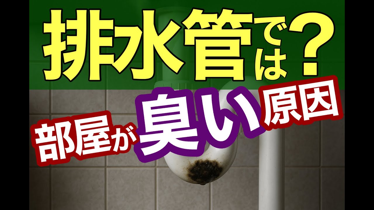 排水管の臭いの原因は？自分でできる臭いの解消法を徹底解説！
