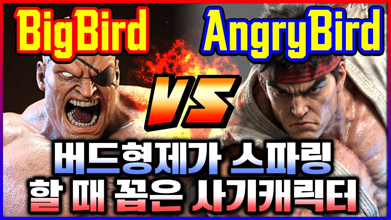 스파 6 🔥버드형제가 스파링 할 때 꼽은 사기캐릭터!! 빅버드(사가트) vs 앵그리버드(류)