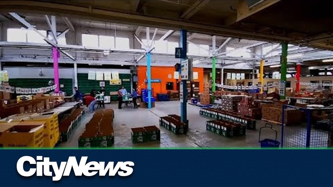 Daily Bread Food Bank reports record demand