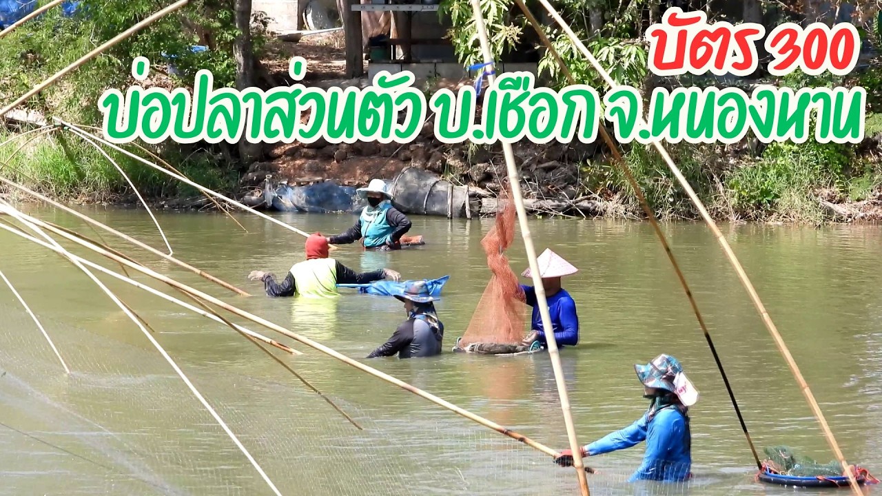 นึกว่าจะไม่รอดที่ไหนได้เกินคาด หนองอุ๊บอิ๊บบัตร 300 บาท