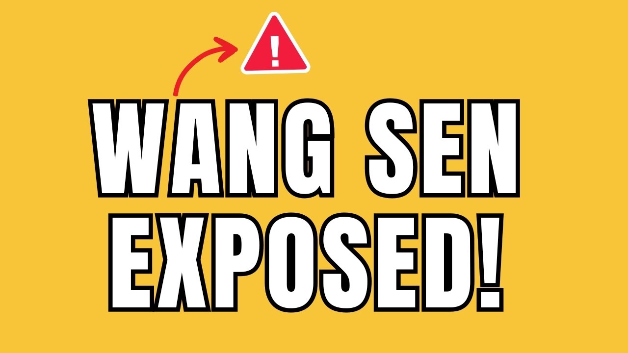 NEW! Wang Sen EXPOSED! The Truth About SenBags!