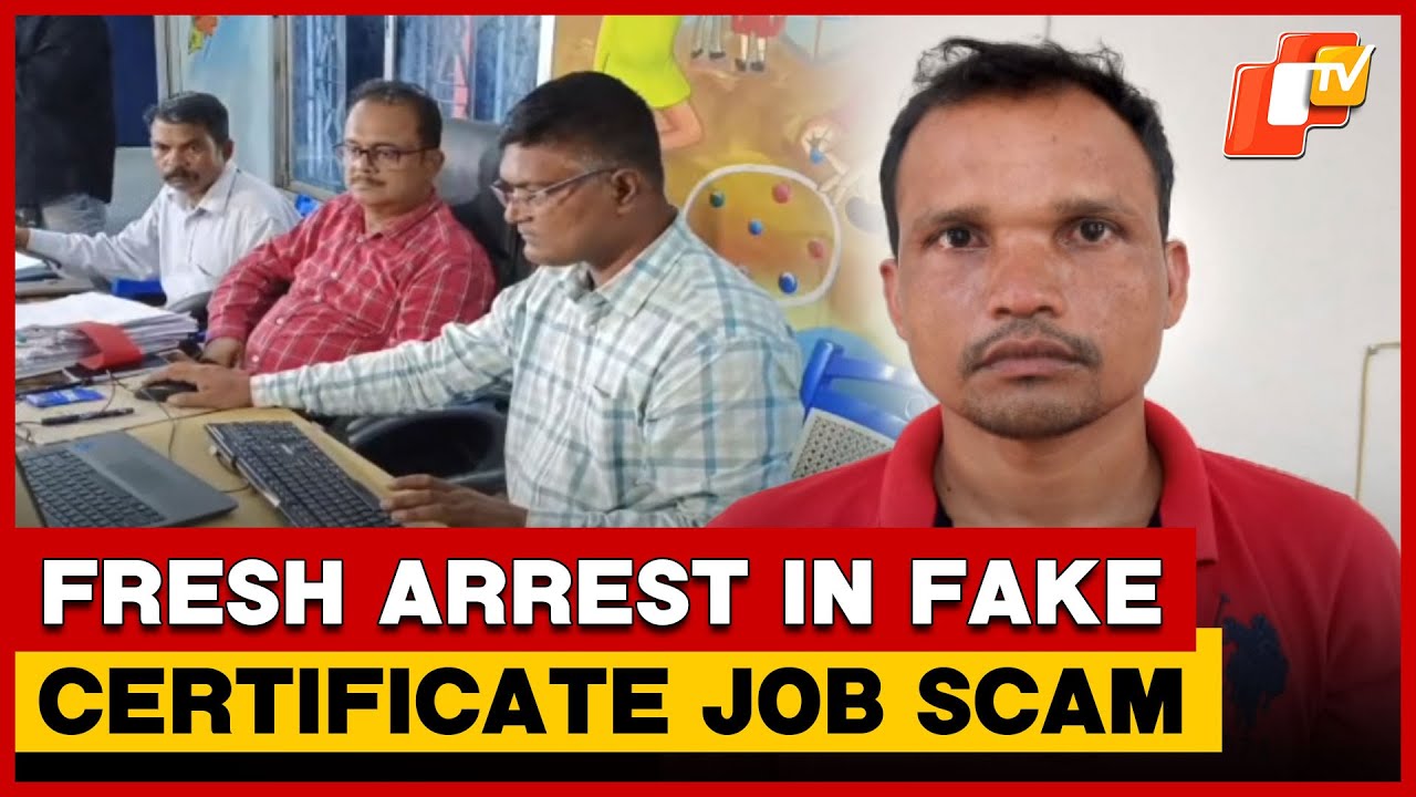 Crime Branch Makes Fresh Arrest in Fake Certificate Job Scam | OTV