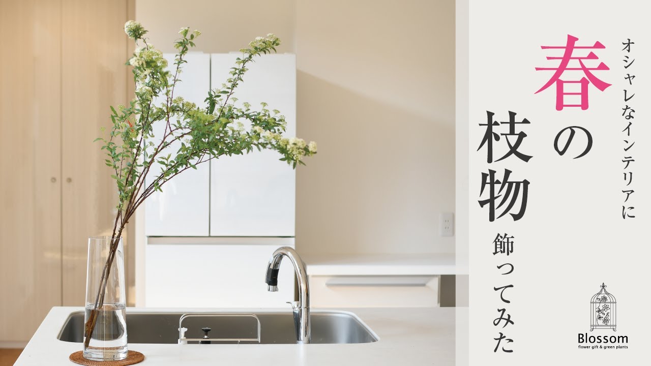 【インテリアの参考に】お花屋さんが、春の枝物を飾ってみた！