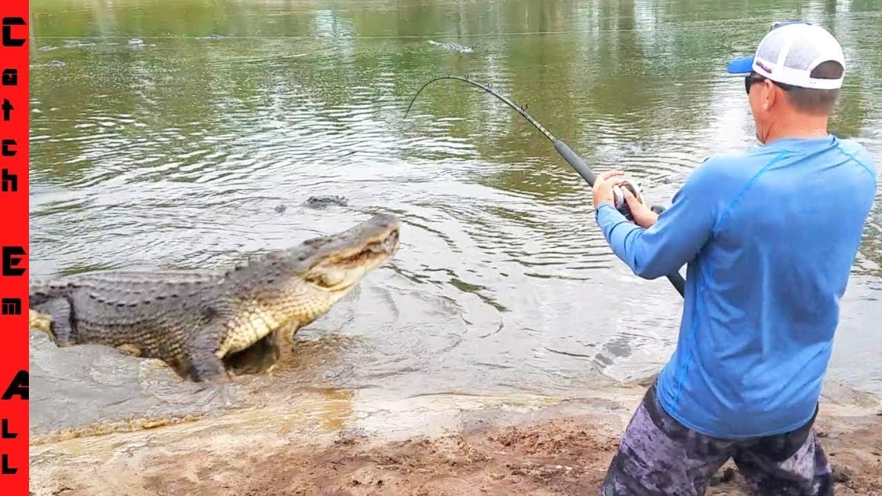 FISHING for BIG GATORS!