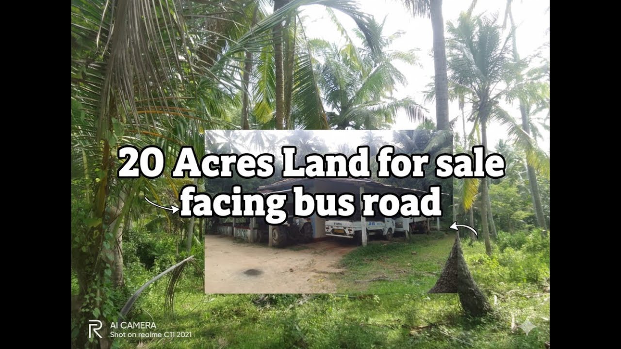 සින්නක්කර අක්කර 20 ක් අරන් අනාගතේම ගොඩ දාගමුද | Land for sale in  Sri Lanka