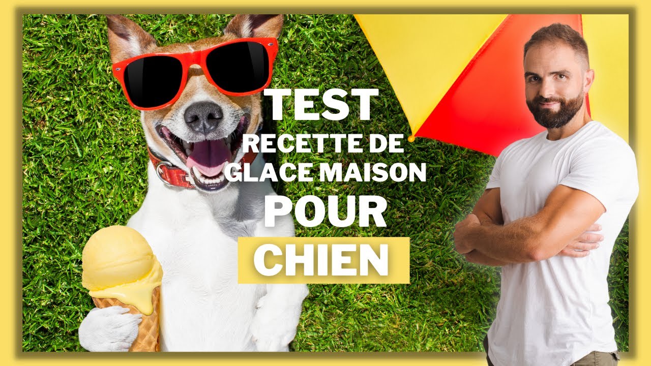 TEST RECETTE ALIMENTAIRE POUR CHIEN : RECETTE DE GLACE MAISON POUR CHIEN