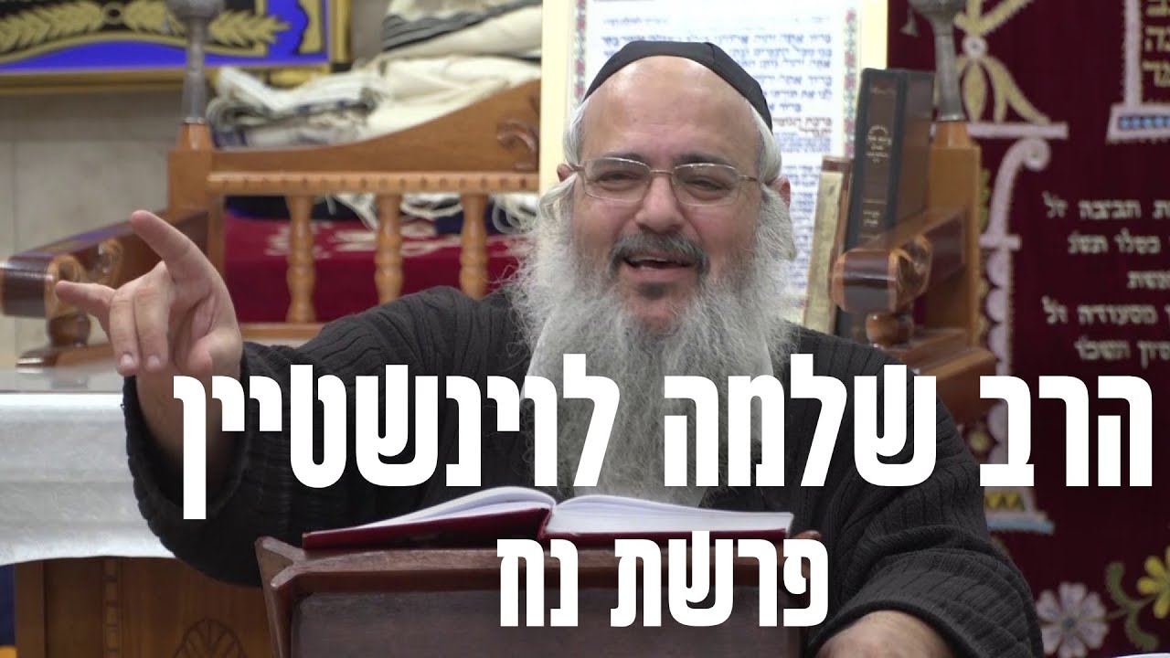 ⚡️ הרב שלמה לוינשטיין - פרשת נח I מתוקים וחידושים נפלאים על פרשת השבוע!