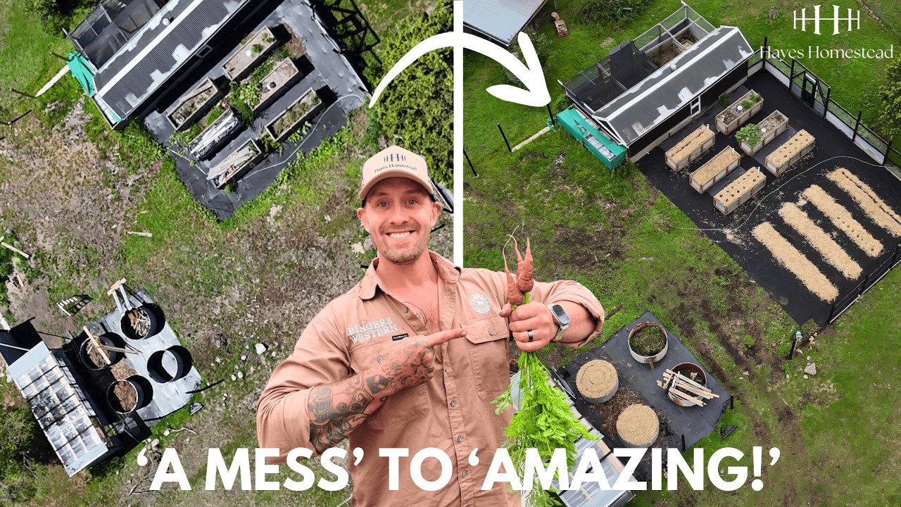 INFLATION Busting Aussie Homestead transformation | Raised Beds & Livestock on a Budget
