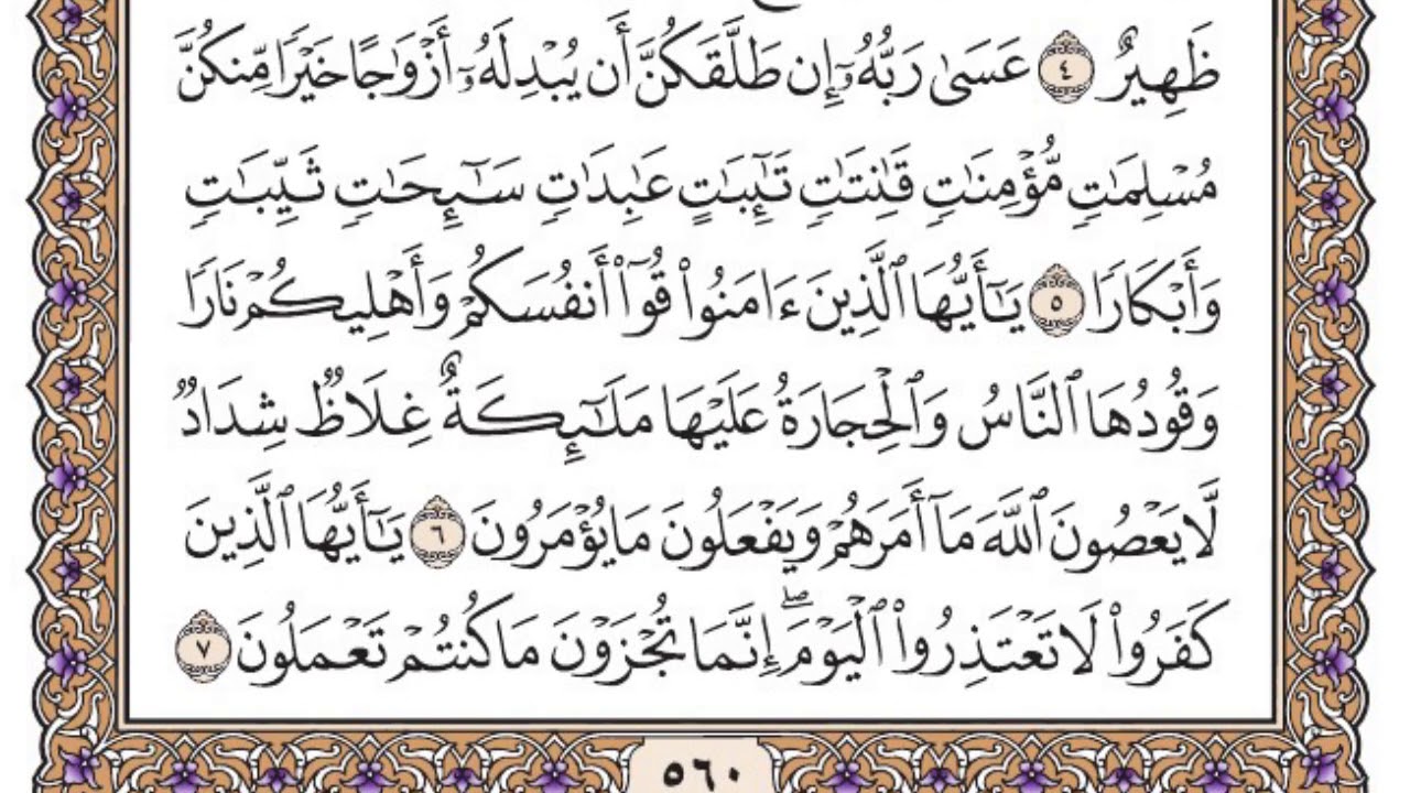 سورة التحريم مكتوبة / سعود الشريم