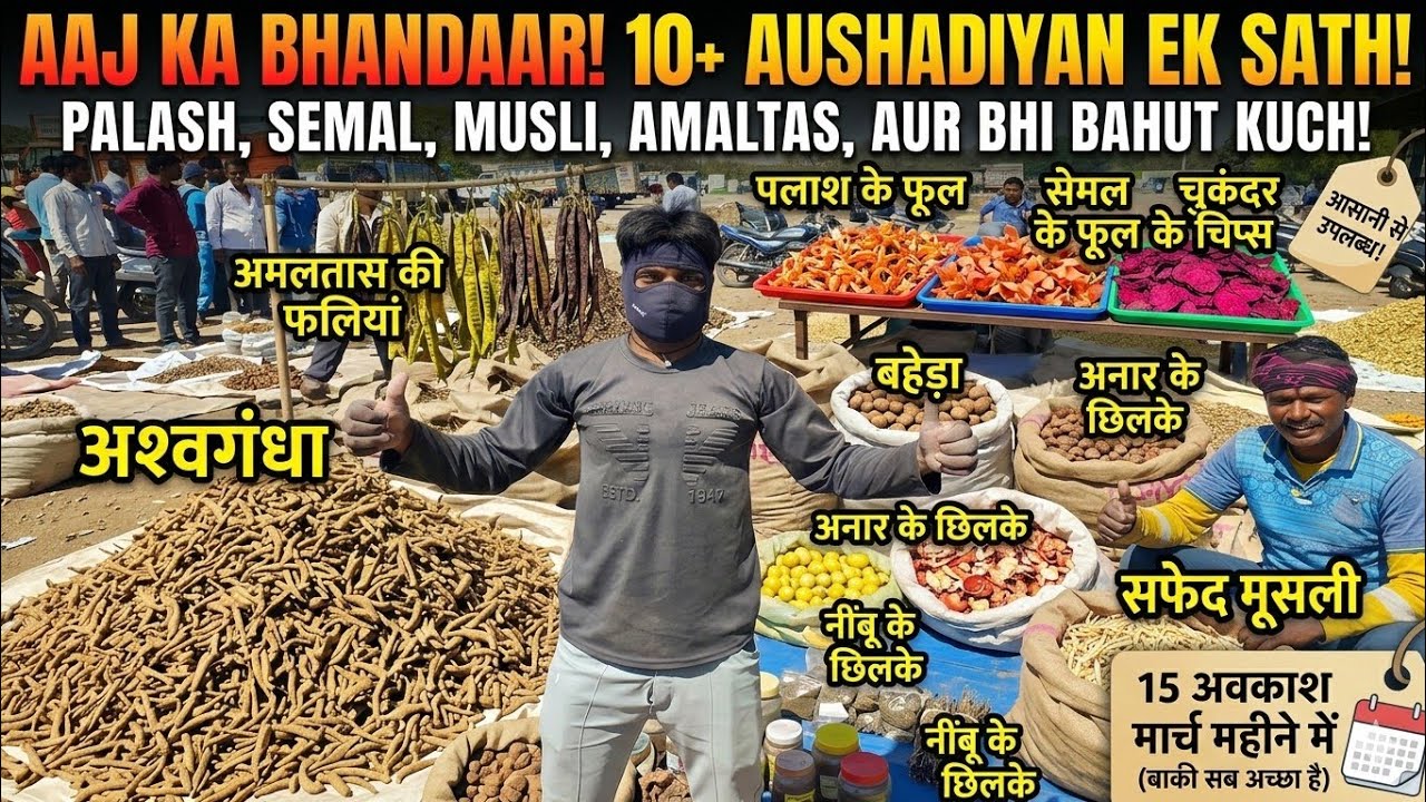 विश्वास नहीं होगा! 😱 मंडी में औषधियों का इतना बड़ा भंडार? ।। Ashish Dhakad ।। औषधि मंडी नीमच 