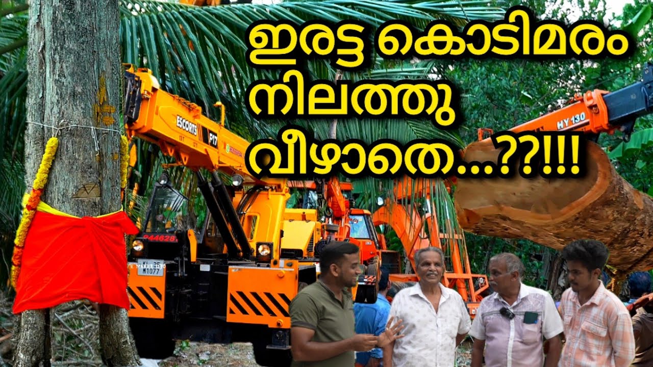 ഇരട്ട കൊടിമരം നിലത്ത് വീഴാതെ മുറിക്കുന്നത് കണ്ടാലോ #kodimaram #temple #hindu