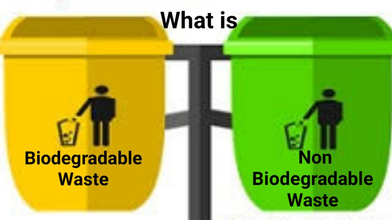 What is Biodegradable and Non Biodegradable Waste I Waste Management I Non-Biodegradable Materials