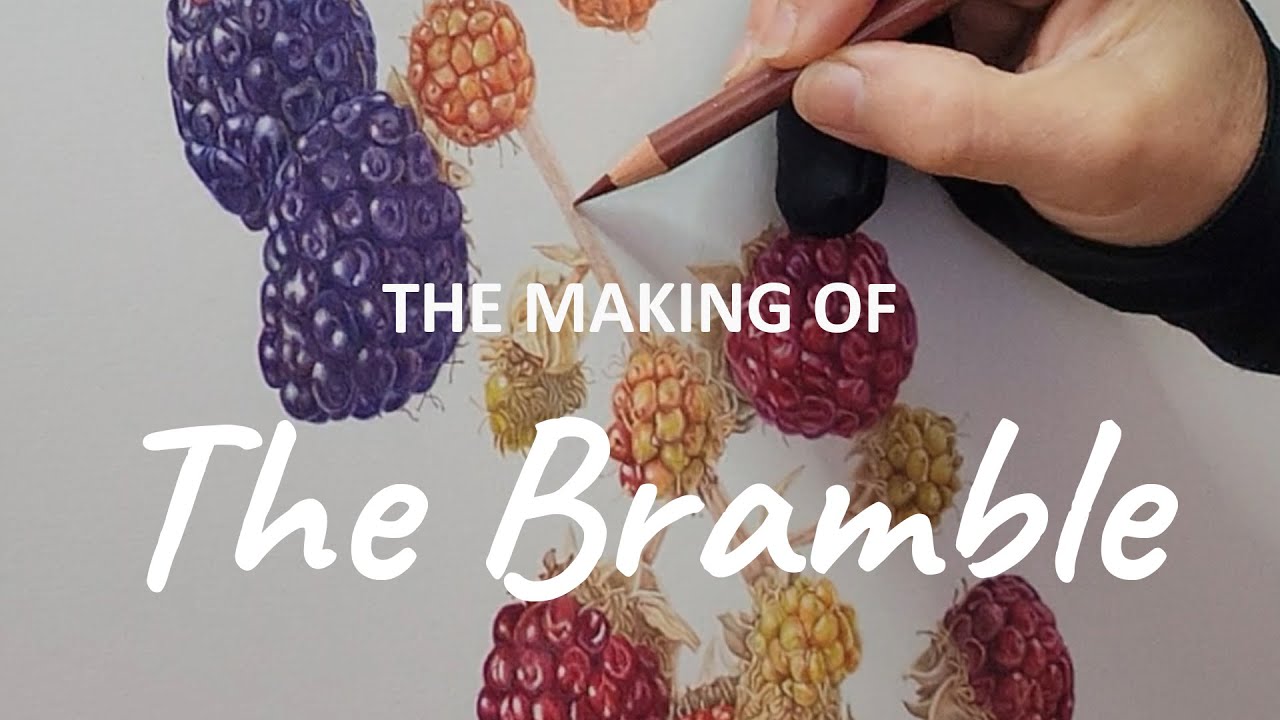 Detailed Botanical Art: How The Bramble Came Together