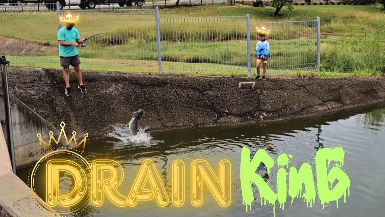 Fishing Townsville Drains