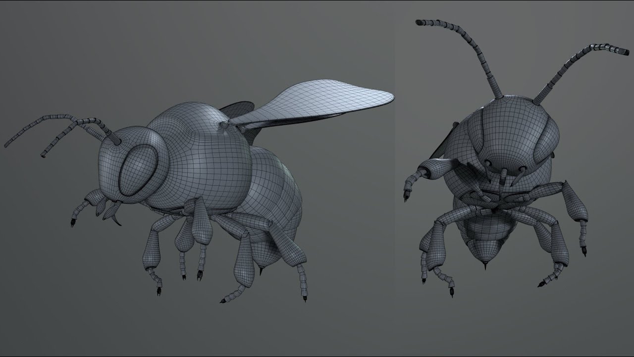 Modelling a Bee Cinema 4D R25 +  Teaser