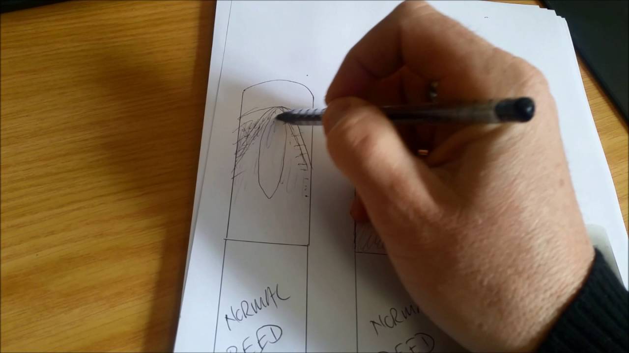 Chris Luke - Shaving or adjusting  a saxophone reed (Bari reeds)