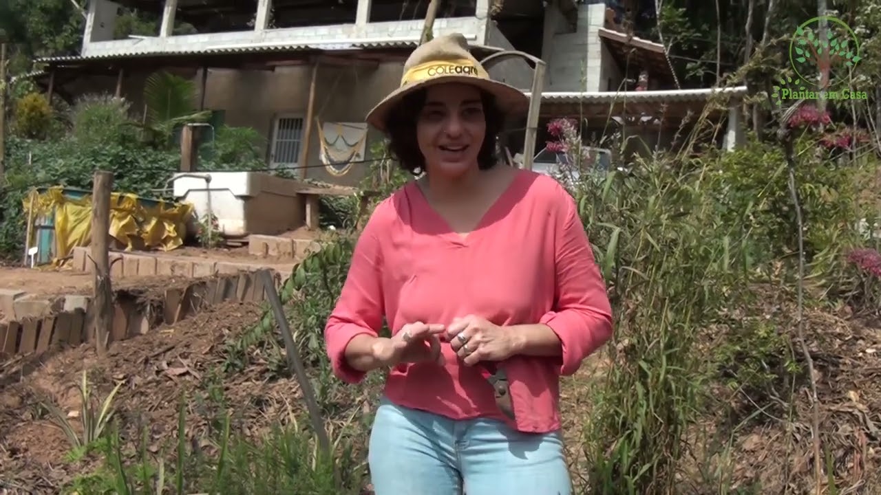 03 Plantas Medicinais e Óleo Essencial, Agrofloresta Medicinal Oficina do Plantar em Casa